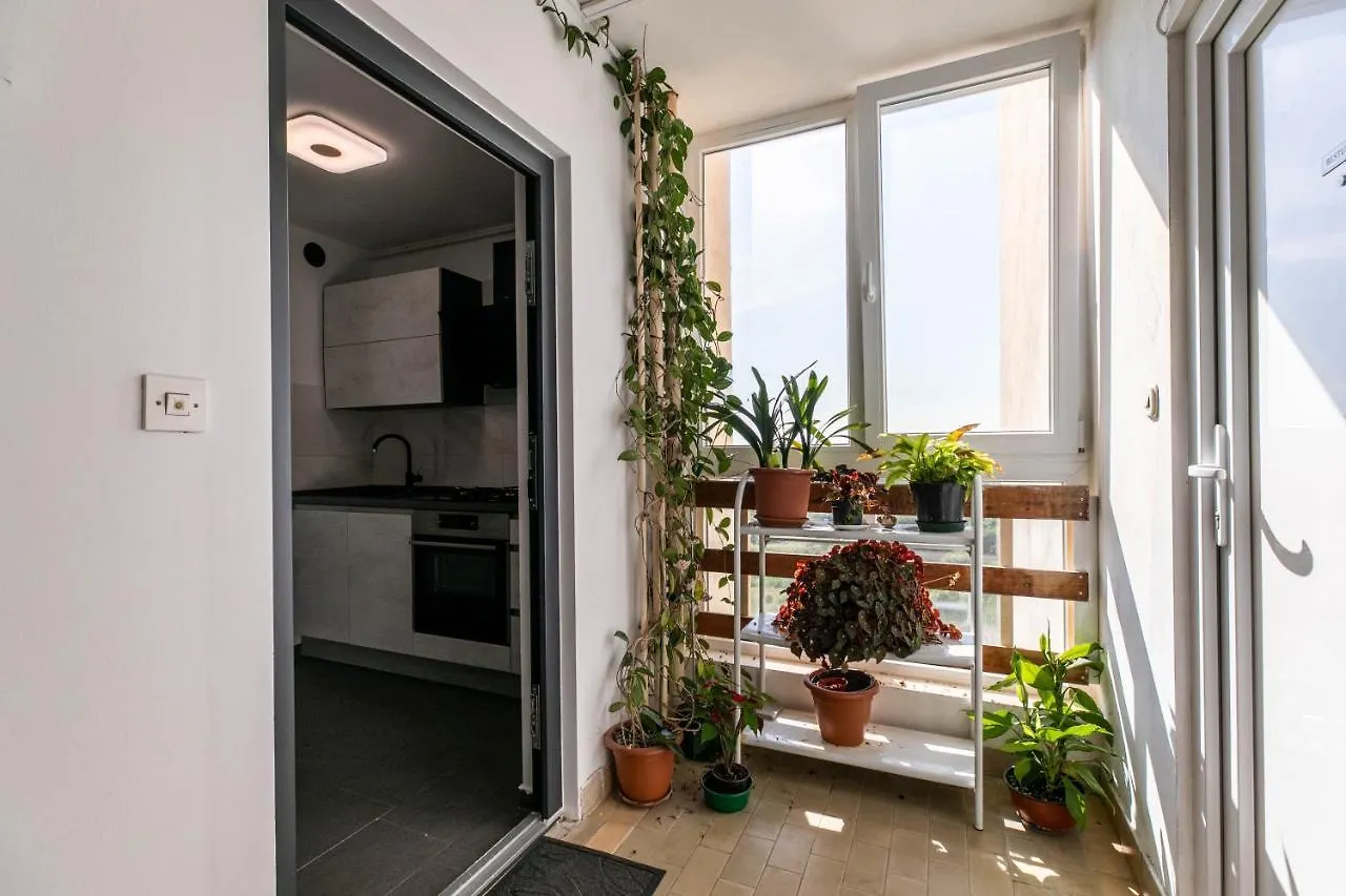 Apartment Minka Pula